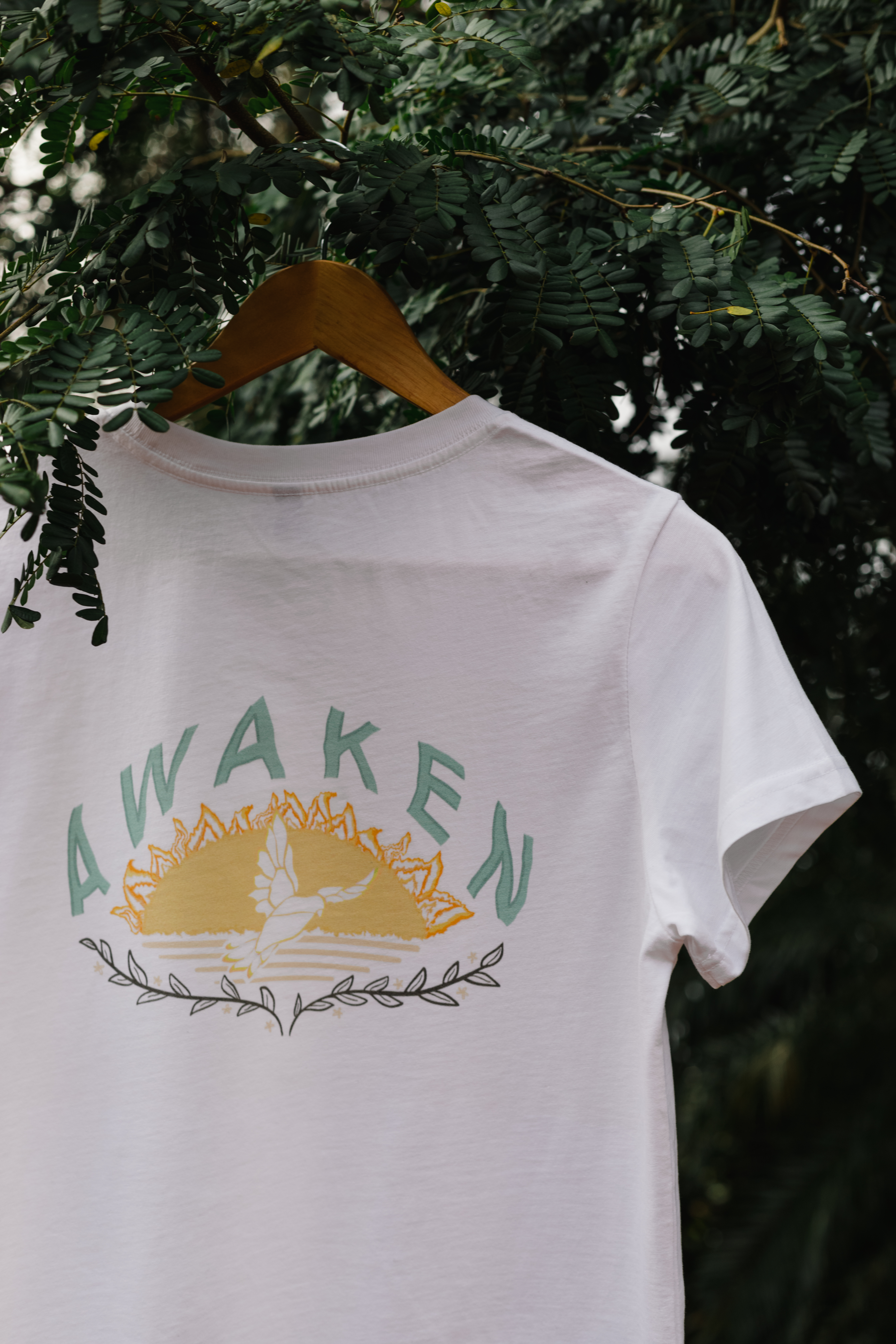 Awaken