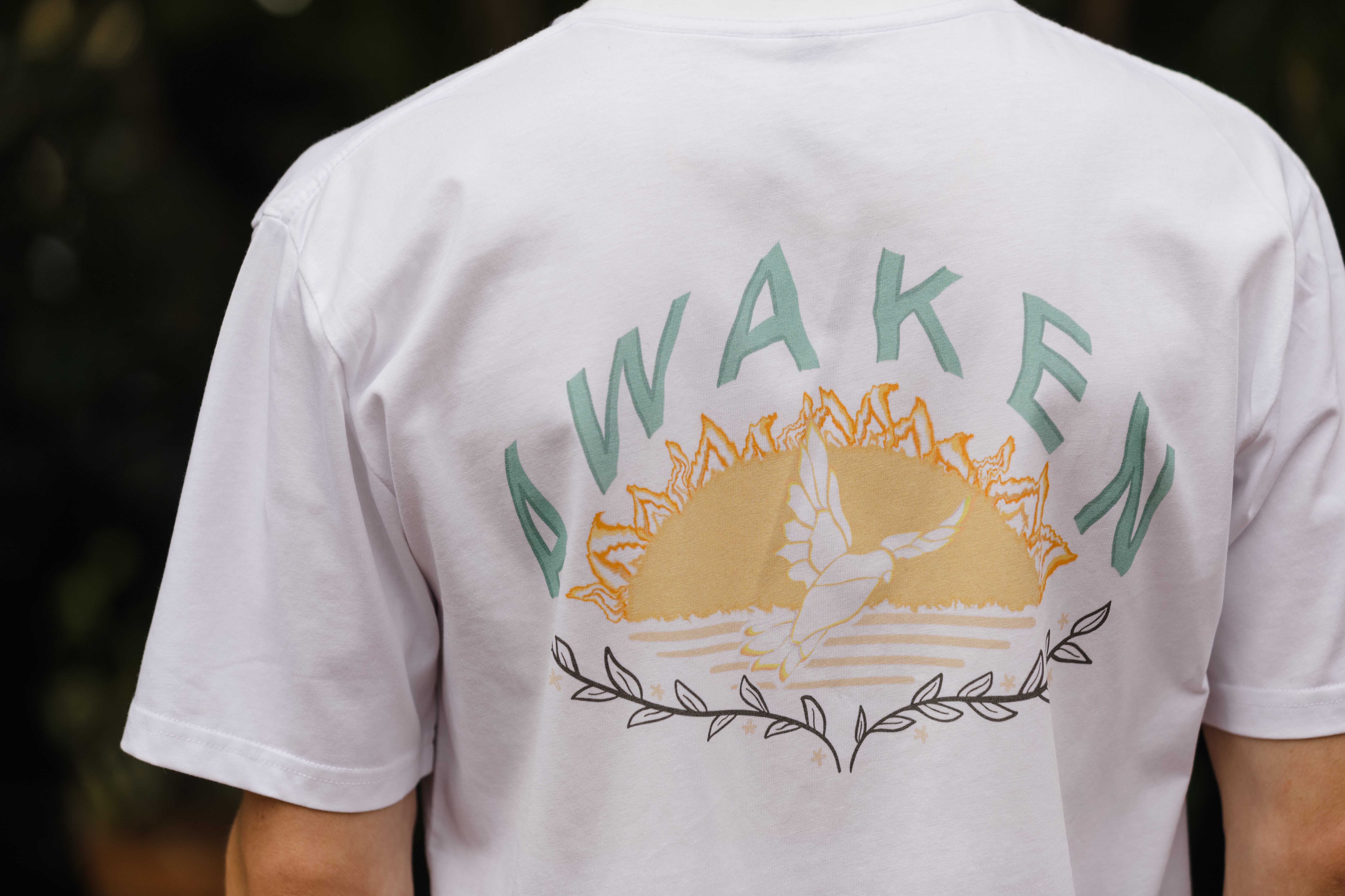 Awaken