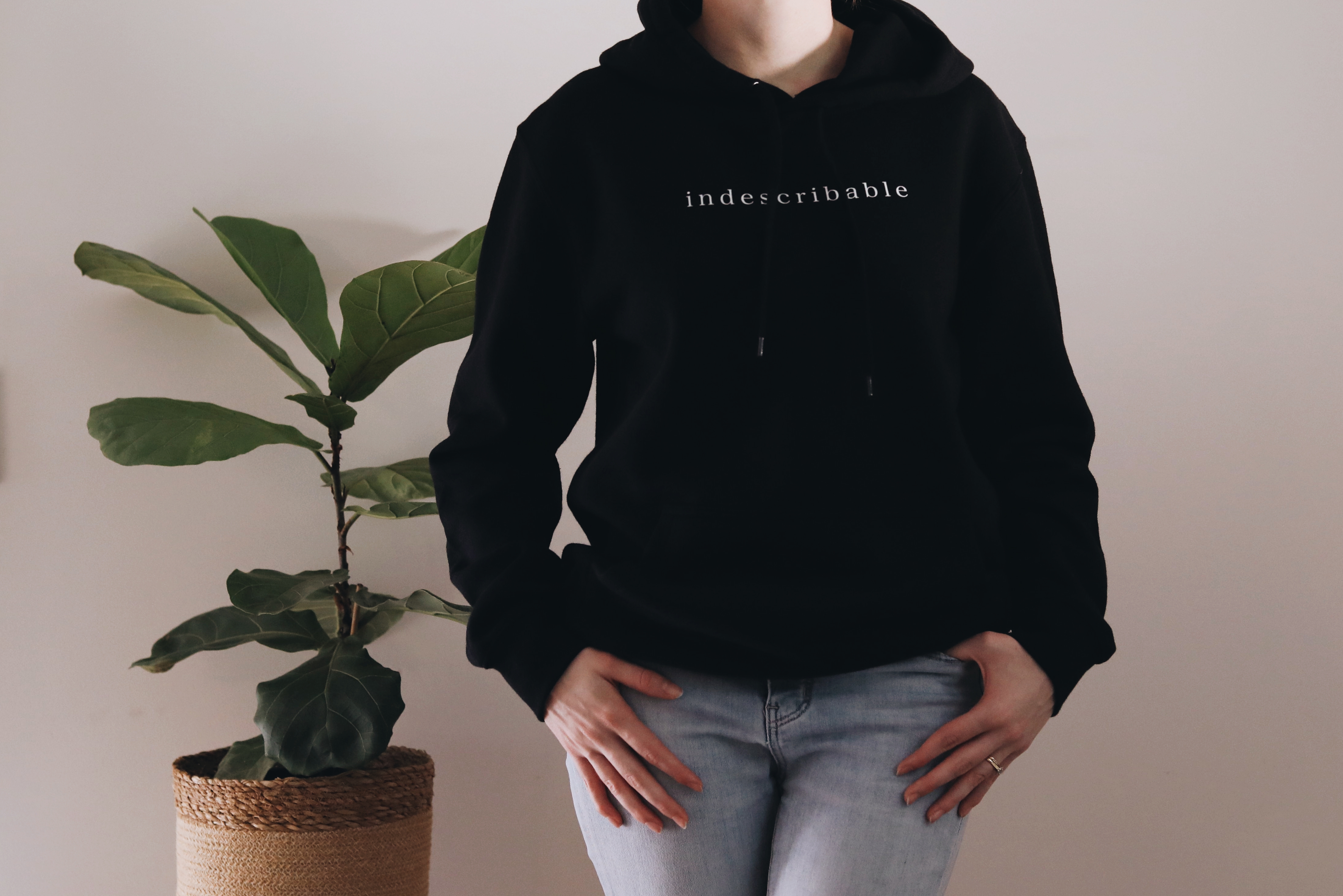 'Indescribable' Unisex Hoodie